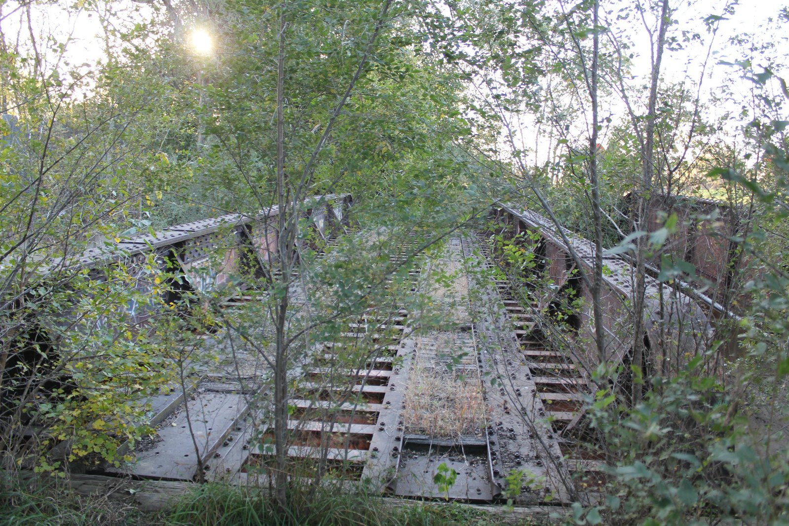 Looking west